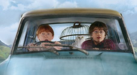 HBO MAX CELEBRA EL CUMPLEAÑOS DEL NIÑO QUE VIVIÓ:  ¡FELIZ CUMPLEAÑOS HARRY!