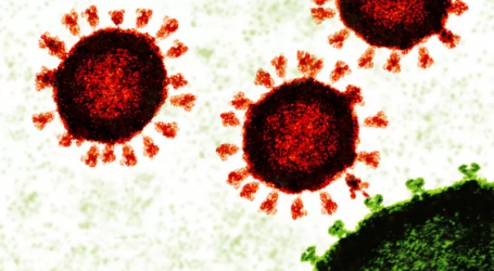 Covid: lo que sucede en nuestro cuerpo cada día de la infección con el coronavirus