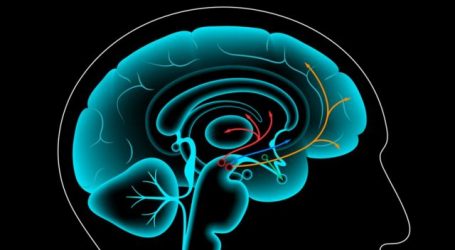 Cuáles son los beneficios del “ayuno de dopamina” y qué pasa en tu cerebro cuando te abstienes del exceso de placer